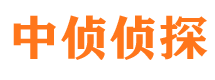 延平侦探公司